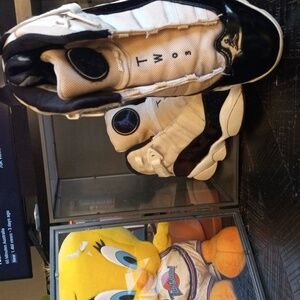 Jordan 6 Ring Concorde shoe